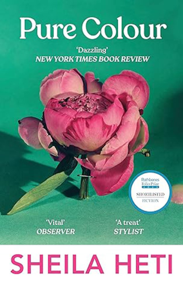 Pure Colour - The New Novel from the Author of Motherhood and How Should a Person Be?